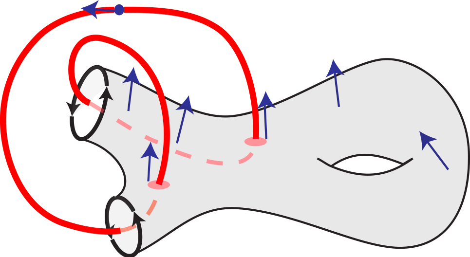 Visuel Birkhoff Section