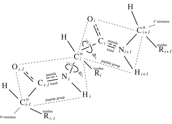 conformational