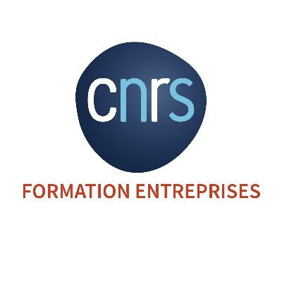 Logo CNRS Innovation